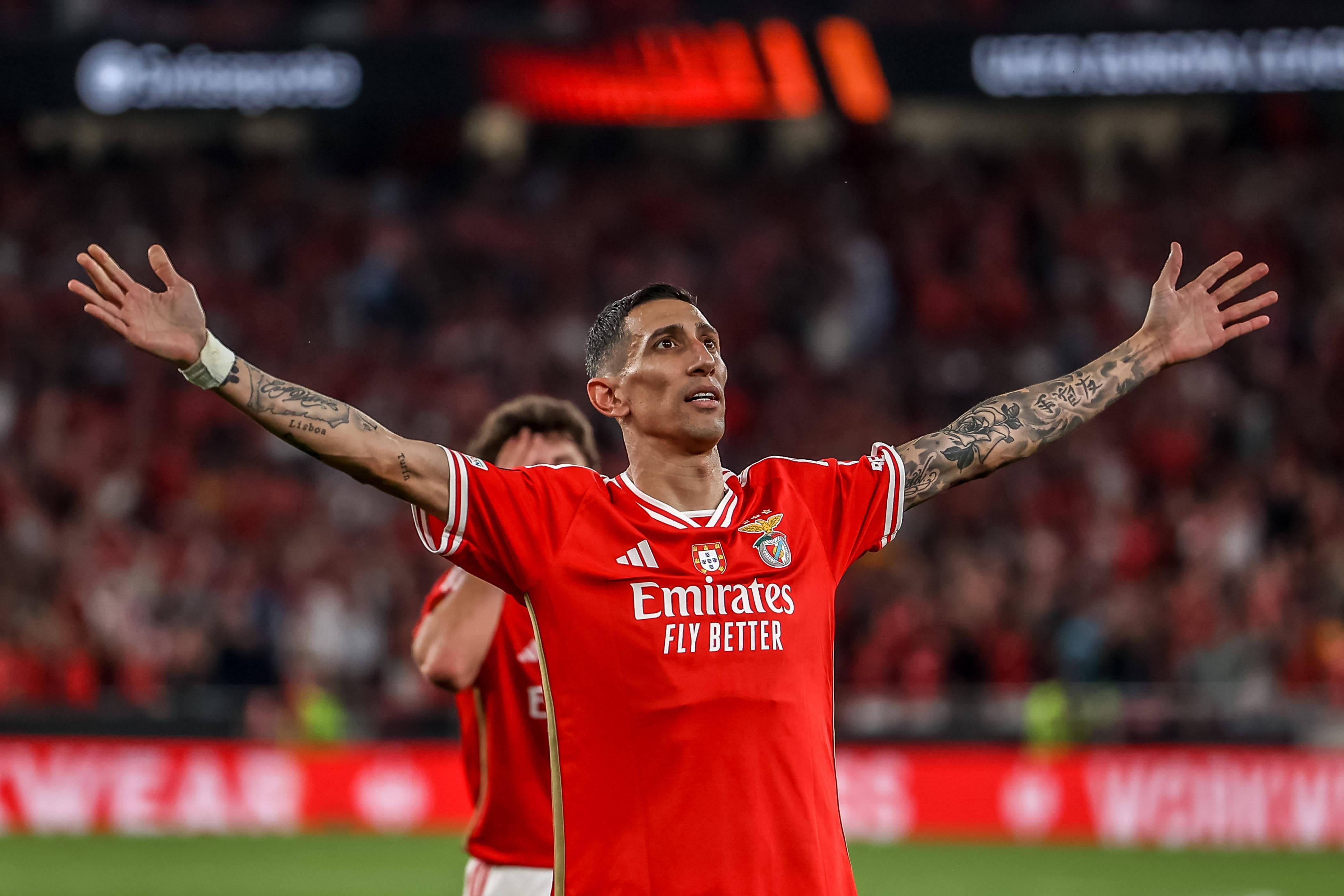 关于集结日体能课后，本菲卡迎来里程碑备战葡超，引发热议，赛程密集仍需轮换的信息-开云体育中国官网