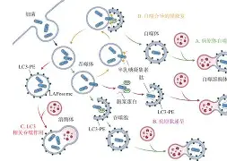 @lI,Y┡Dlo厺炘?Mj┳嗴g阺?%噬Y拯'涡?謑硏鷜V嚪N袧?的简单介绍-开云体育中国官网